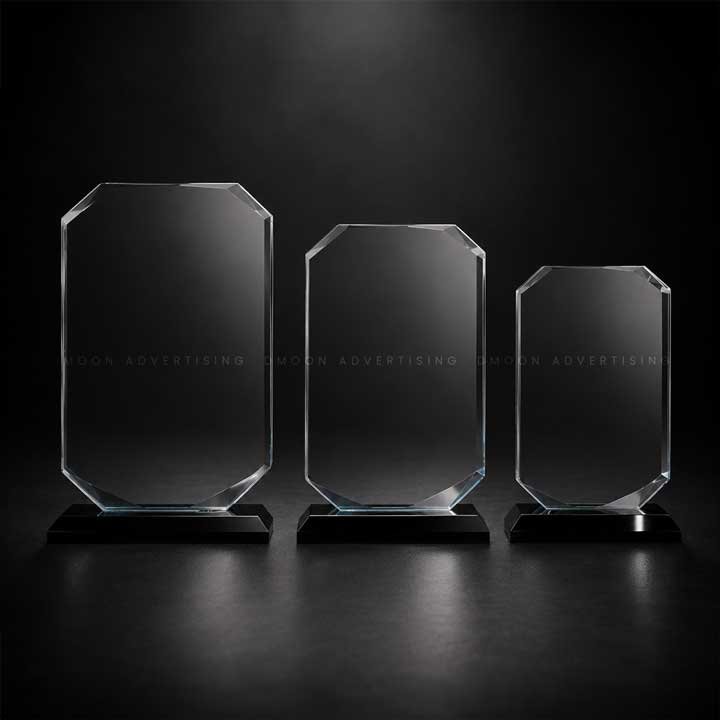 Octagon Crystal Recognition Award